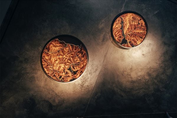 Round shape featuring brown organic pattern, on grey cover of 'Dor Guez, Inmitten imperialer Gitter | Amid Imperial Grids', by Kerber.