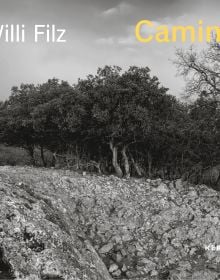 Landscape book cover of Willi Filz, Camino, featuring a row of trees above sloping rocky terrain. Published by Kerber.