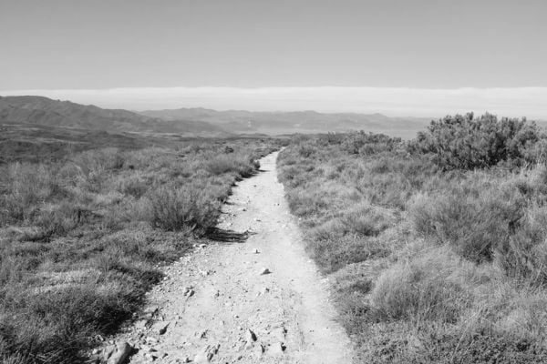 Landscape book cover of Willi Filz, Camino, featuring a row of trees above sloping rocky terrain. Published by Kerber.