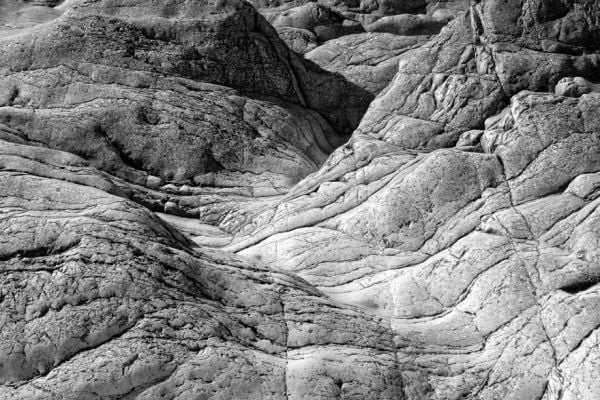 Landscape book cover of Willi Filz, Camino, featuring a row of trees above sloping rocky terrain. Published by Kerber.