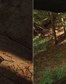 Book cover of Marieken Verheyen: Reviere/Realms, with a blurred shot of green forest. Published Kerber.