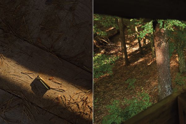 Book cover of Marieken Verheyen: Reviere/Realms, with a blurred shot of green forest. Published Kerber.