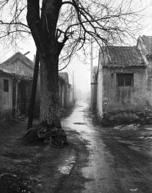 Xu Yong