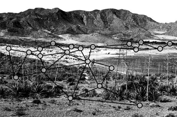 Book cover of Synaptic Landscape: Oliver Ullrich, with a vein skeleton of leaf on grass. Published by Kerber.