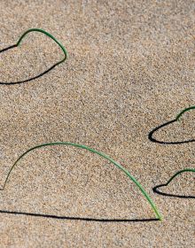 Book cover of Synaptic Landscape: Oliver Ullrich, with a vein skeleton of leaf on grass. Published by Kerber.