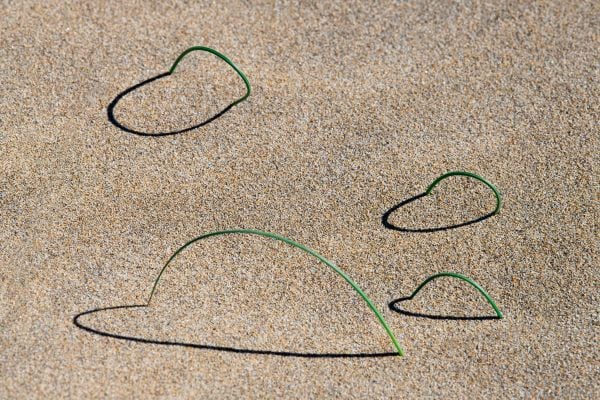 Book cover of Synaptic Landscape: Oliver Ullrich, with a vein skeleton of leaf on grass. Published by Kerber.