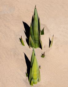 Book cover of Synaptic Landscape: Oliver Ullrich, with a vein skeleton of leaf on grass. Published by Kerber.