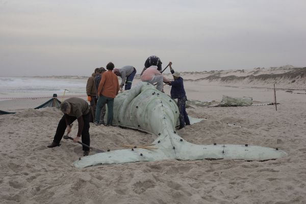 Book cover of New Ecologies: Art and Climate, with a multicoloured leaf. Published by Kerber.