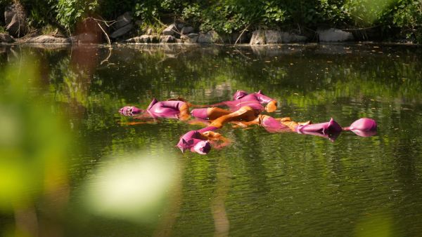Book cover of New Ecologies: Art and Climate, with a multicoloured leaf. Published by Kerber.