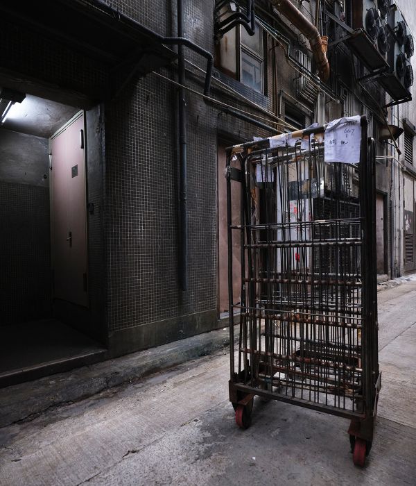 Book cover of Metropolis Sunday: Matthias Forster: Hong Kong Series, with two wire coat hangers. Published by Kerber.