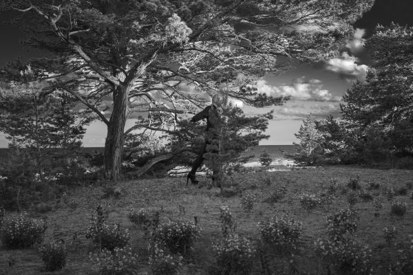 Book cover of Scenes from an Island: Florence Montmare, with two figures standing near a rocky coastline looking out to sea. Published by Kerber.