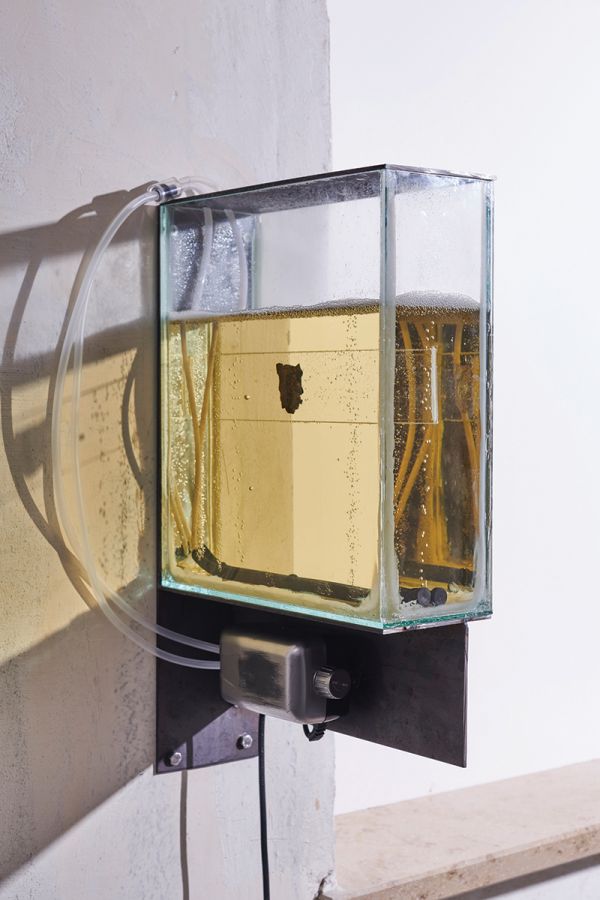 Book cover of ars viva 2025: Vincent Scheers, Wisrah C. V. da R. Celestino, Helena Uambembe. Published by Kerber.