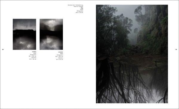 Book cover of State of Change: Karen Irmer, featuring a grey cloudy sky. Published by Kerber.