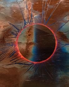Borrowed Light: Rohini Devasher