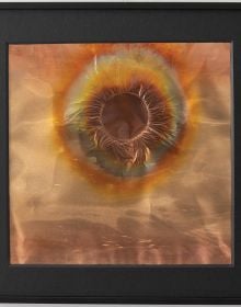 Borrowed Light: Rohini Devasher
