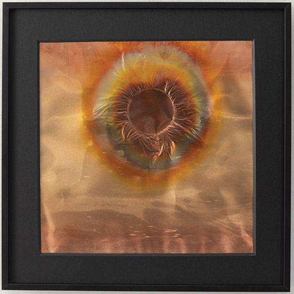 Book cover of Borrowed Light: Rohini Devasher. Published by Kerber.