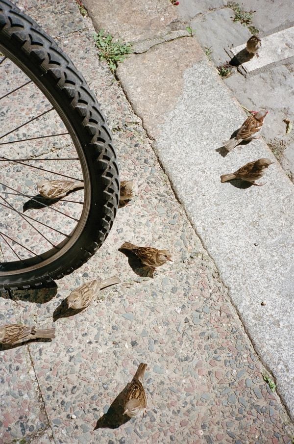 The Earth Crunches Beneath My Feet: Lisa Röing Baer