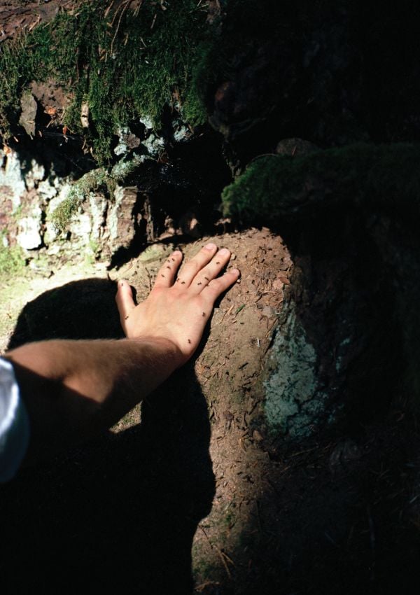 The Earth Crunches Beneath My Feet: Lisa Röing Baer