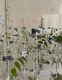 Book cover of MOMENTA: Éloges de l’image manquante; featuring a montage of images. Published by Kerber.