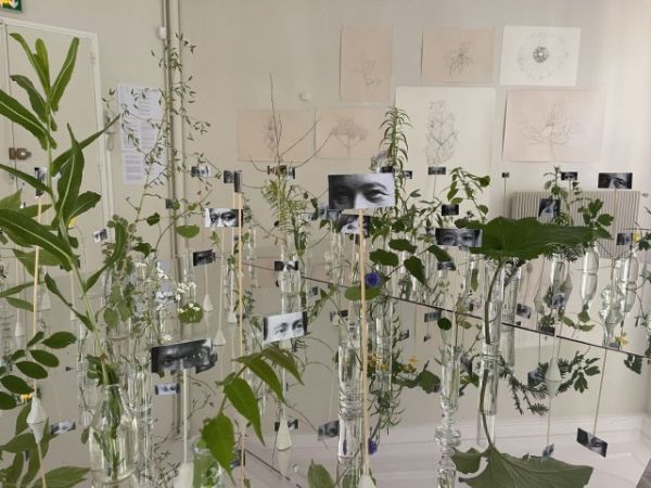 Book cover of MOMENTA: Éloges de l’image manquante; featuring a montage of images. Published by Kerber.