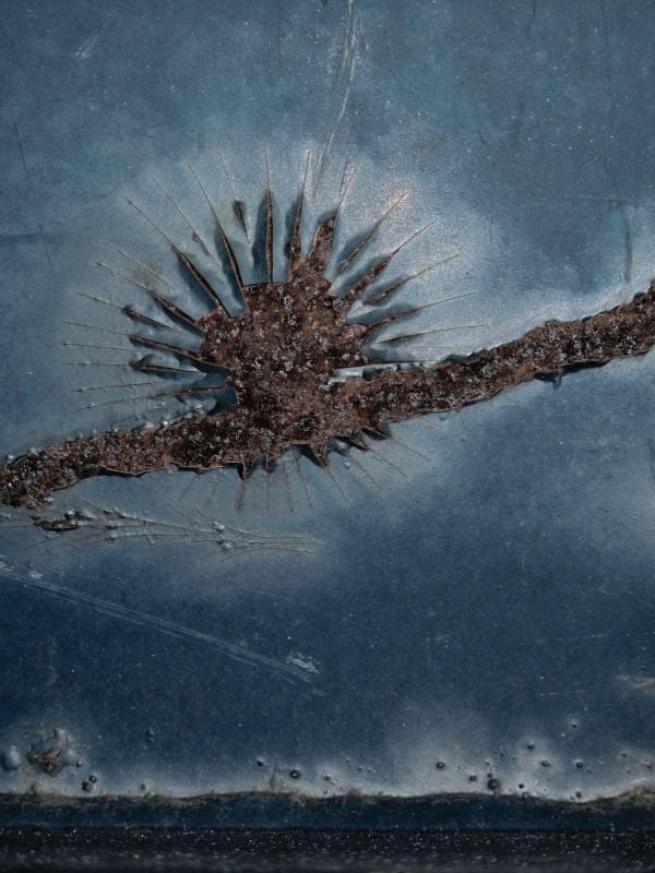 At the Roadside: Mathias Bertram