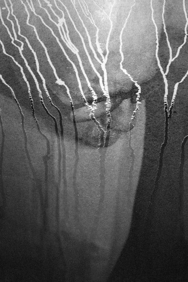 I’ll Remember You: Jonas Dahlström