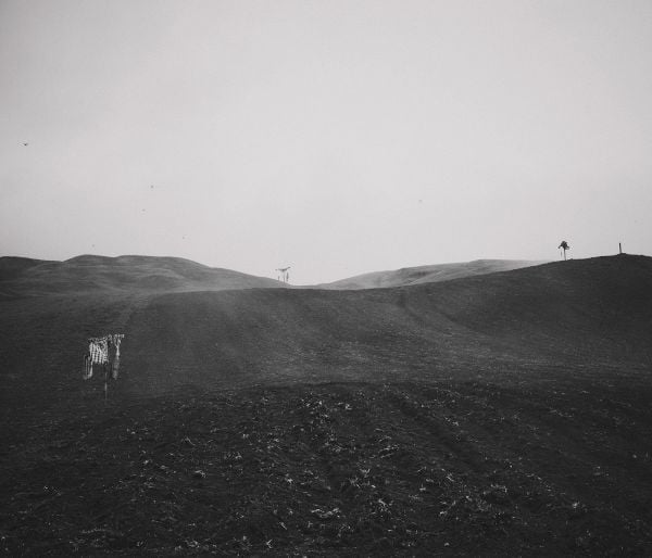 Whitening Heights: Sandro Livio Straube