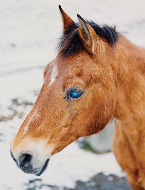Whitening Heights: Sandro Livio Straube