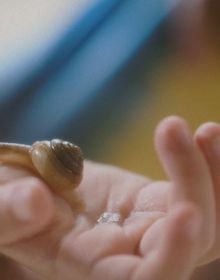 Make a travel deep of your inside, and don’t forget me to take