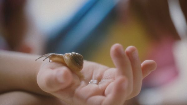 Make a travel deep of your inside, and don’t forget me to take