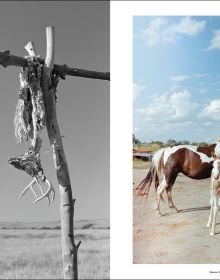 Riders of the Buffalo Nations