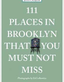 Book cover of 111 Places in Brooklyn That You Must Not Miss'; with a stained glass water tower. Published by Emons Verlag.
