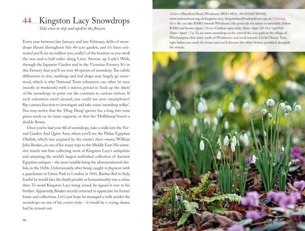 Seagull near centre of pale green cover of '111 Places in Poole That You Shouldn't Miss', by Emons Verlag.