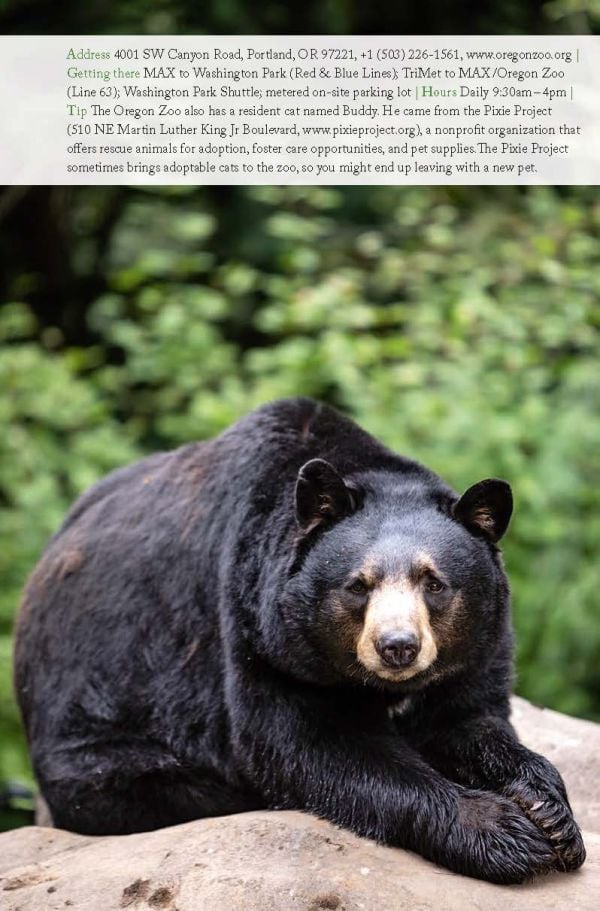 Red rose near centre of green cover of '111 Places in Portland That You Must Not Miss', by Emons Verlag.