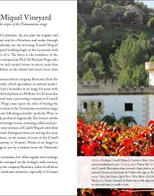 Windmill near centre of green cover of '111 Places in Mallorca That You Shouldn't Miss', by Emons Verlag.