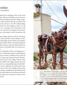 Windmill near centre of green cover of '111 Places in Mallorca That You Shouldn't Miss', by Emons Verlag.