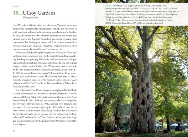 Small green microchip near center of dark green cover of '111 Places in Silicon Valley That You Must Not Miss', by Emons Verlag.