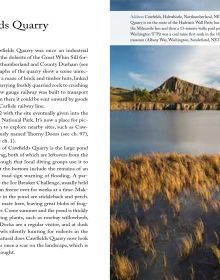 Book cover of 111 Places Along Hadrian's Wall That You Shouldn't Miss, with two stone pillars. Published by Emons Verlag.
