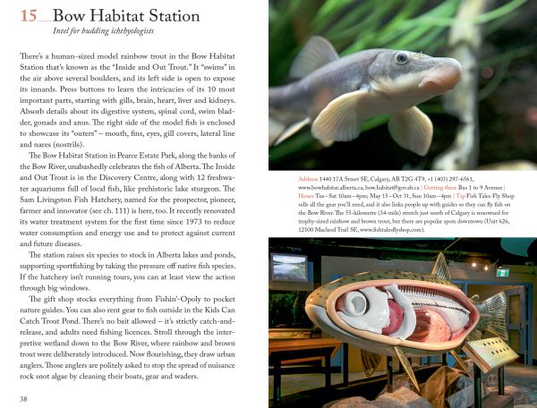 Black bull near centre of red cover of '111 Places in Calgary That You Must Not Miss', by Emons Verlag.