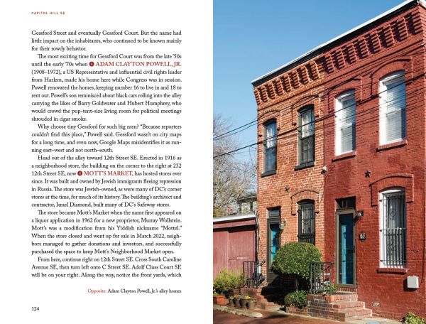 Book cover of 22 Walks in Washington, DC That You Must Not Miss, featuring Capitol Dome, pink blossom, a panda, George Washington, Mambo sauce and a drum. Published by Emons Verlag.