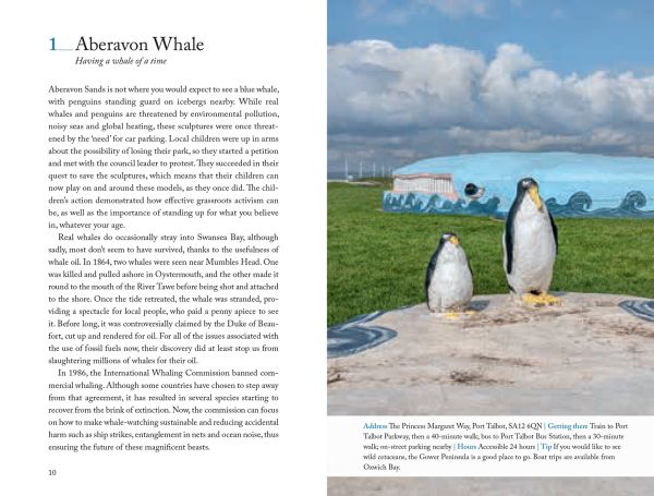 Book cover of 111 Places in Swansea That You Shouldn't Miss, with a white swan. Published by Emons Verlag.