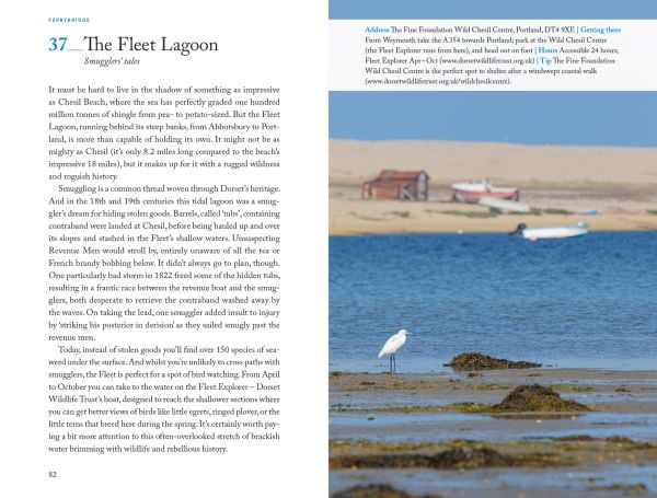 Book cover of 111 Places in Dorset That You Shouldn't Miss: featuring an ammonite shell. Published by Emons Verlag.