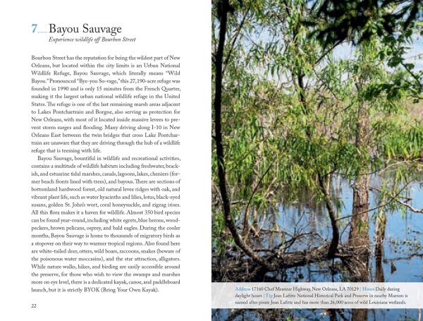 Book cover of 111 Places in New Orleans That You Must Not Miss; with a carnival mask. Published by Emons Verlag.