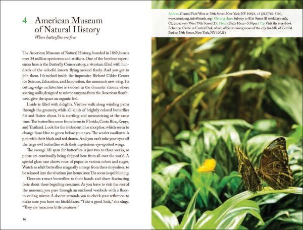 Book cover of 111 Museums in New York That You Must Not Miss, with a colourful city skyline. Published by Emons Verlag.