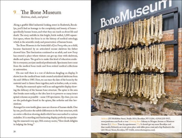 Book cover of 111 Museums in New York That You Must Not Miss, with a colourful city skyline. Published by Emons Verlag.