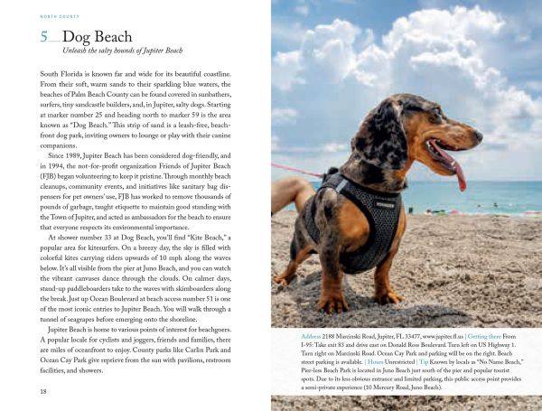 Book cover of 111 Places in Palm Beach That You Must Not Miss, with a turtle. Published by Emons Verlag.