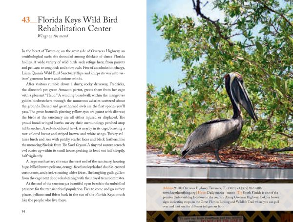 Book cover of 111 Places in Miami and the Keys That You Must Not Miss; featuring a slice of cheesecake. Published by Emons Verlag.