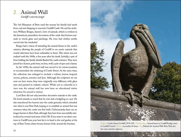 Book cover of 111 Places in Cardiff That You Shouldn't Miss; featuring a yellow daffodil. Published by Emons Verlag.