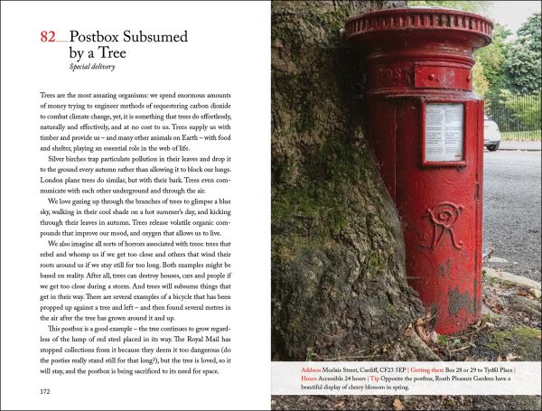 Book cover of 111 Places in Cardiff That You Shouldn't Miss; featuring a yellow daffodil. Published by Emons Verlag.