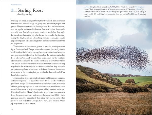 Book cover of 111 Places in Cornwall That You Shouldn't Miss; featuring a black bird with an orange beak. Published by Emons Verlag.